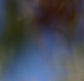 Abstract #14 texture overlay