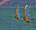 wind-sailors-FINAL-