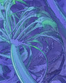 IMG_2315-colored-kelp-8x10640.jpg