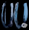 vases-with-flower