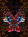 266_6688-tom-turkey-geometric.jpg
