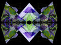 -douglas-iris--4-