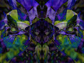 douglas-iris-2-GEO-