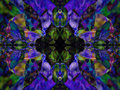 -douglas-iris-6GEO-