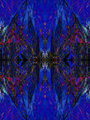 331_3188-from-poppies-geometric