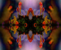 340_4083-wildflower-1-