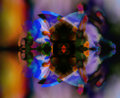 340_4083-wildflower-6-
