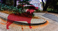 IMG_2728-S-Curve-one-original-