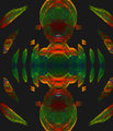 Stoned-Fruit-s-piral-3-and-5-combo-800