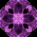 IMG_7362spiral-adaptation-2-800