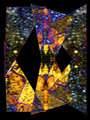130_3029-experiment-1b-800