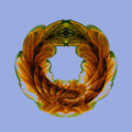 277_7758-sunflower-wreath800