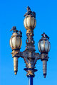 IMG_7796-pigeon-Condo-800