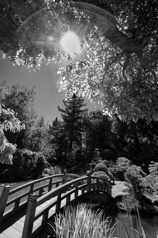 IMG_0002-hakone-gardens-bridge-DESAT-800