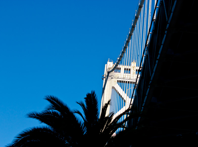 IMG_1498-The-Bay-Bridge-800