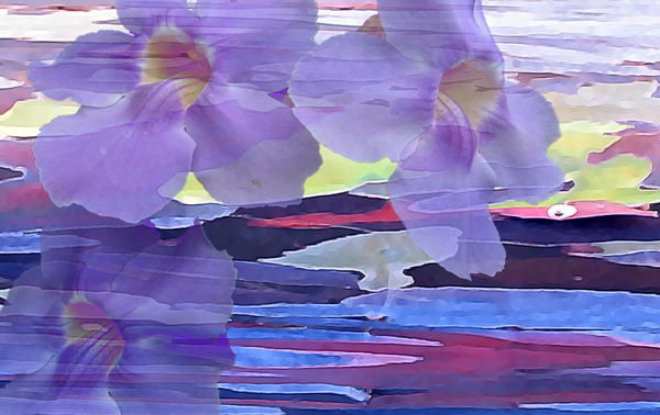 Abstract #2