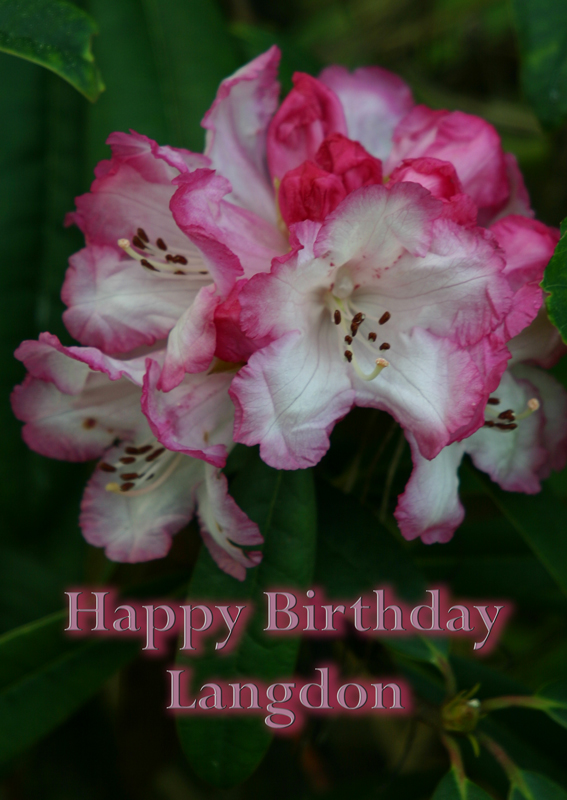 Happy Birthday, Langdon.