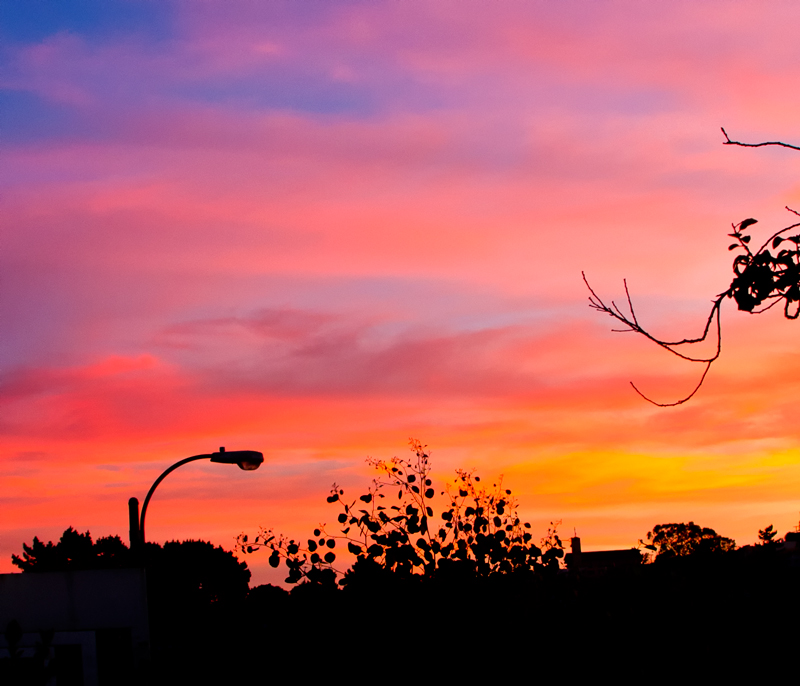 IMG_9835-my-neighborhood-800