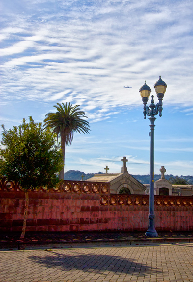 IMG_9139-Colma A-800