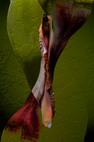 IMG_1083-180-flip-and-BM-Dif-another-step-600