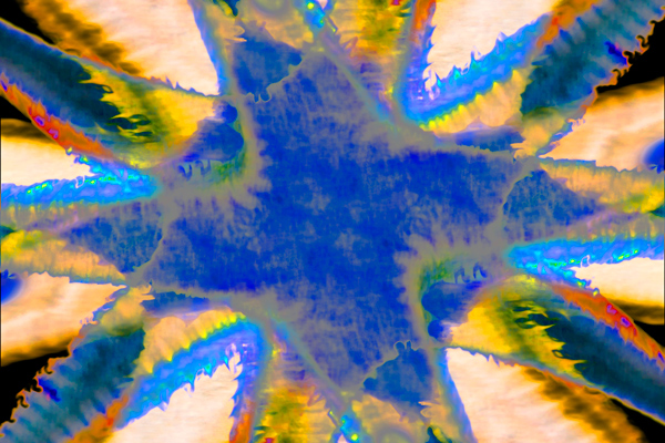 IMG_1042-pinwheel-maybe-600