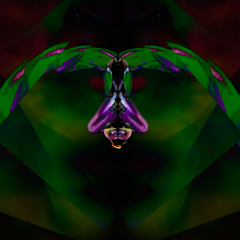 IMG_5350-refraction-abstract-800