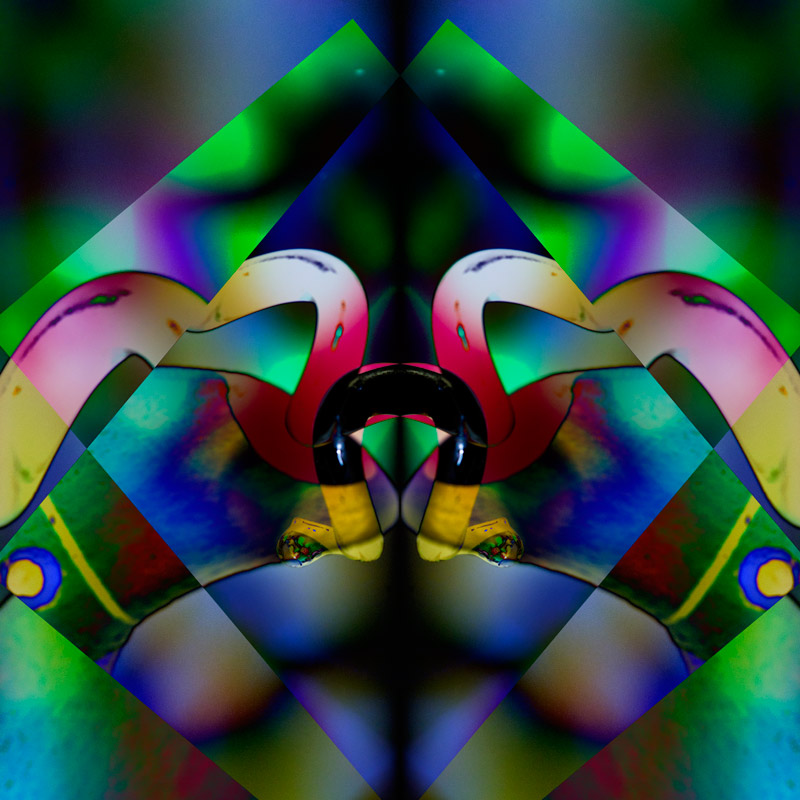 IMG_5376-refraction-variation-3-800