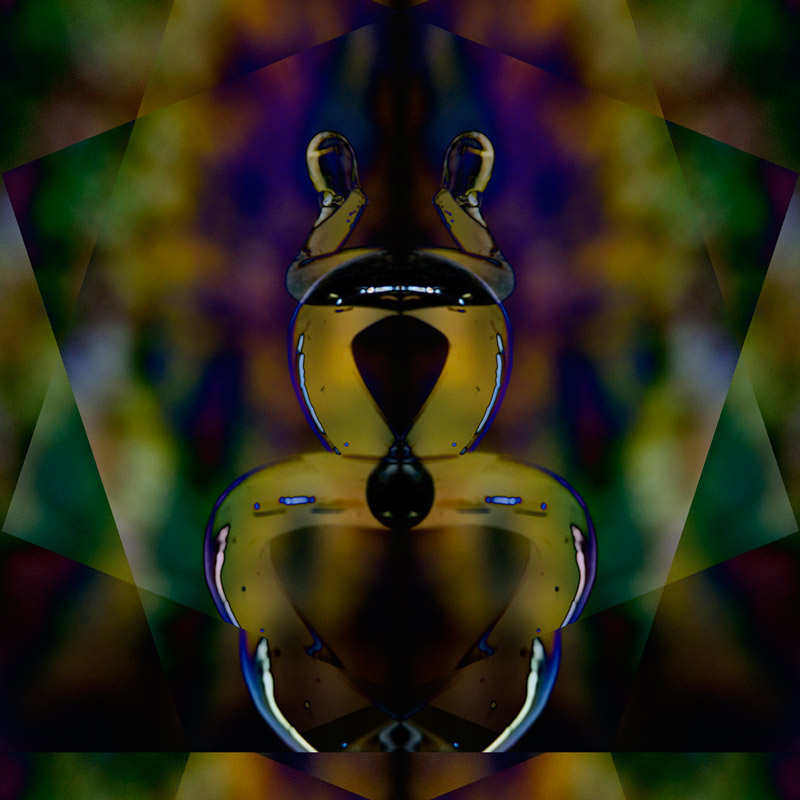 IMG_5396-refraction-variation-five-800