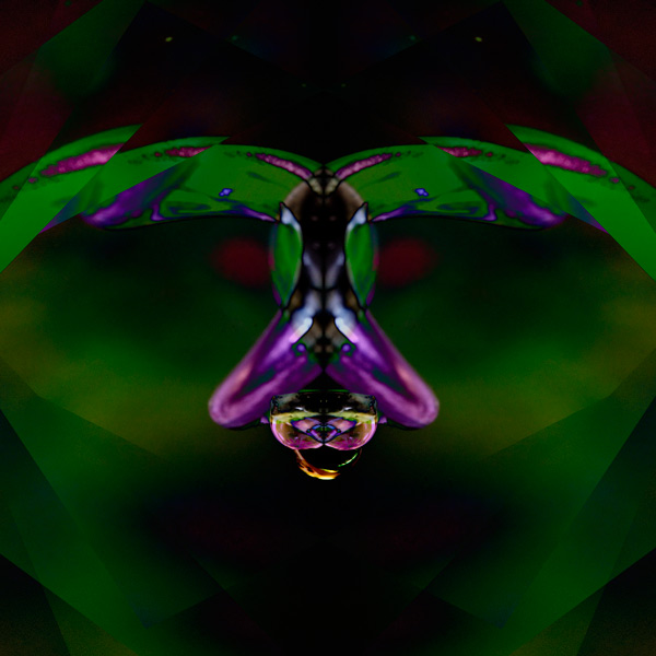 IMG_5350-refraction-variation-2-600