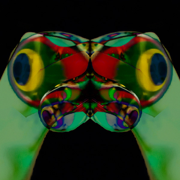 IMG_5432-refraction-variation-7-600