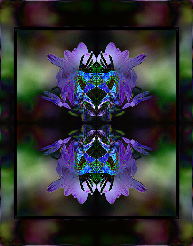 235_3524white-with-lavender-200411x14-800