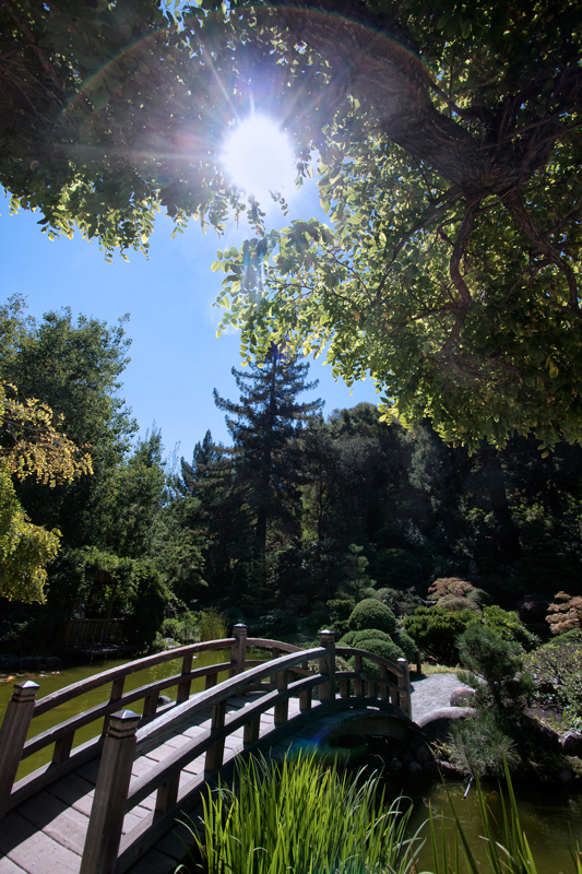 IMG_0002-hakone-gardens-bridge-ORIGINAL-800