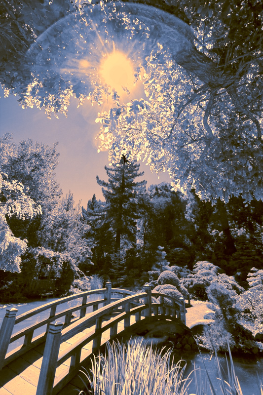 IMG_0002-hakone-gardens-bridge-TOPAZ