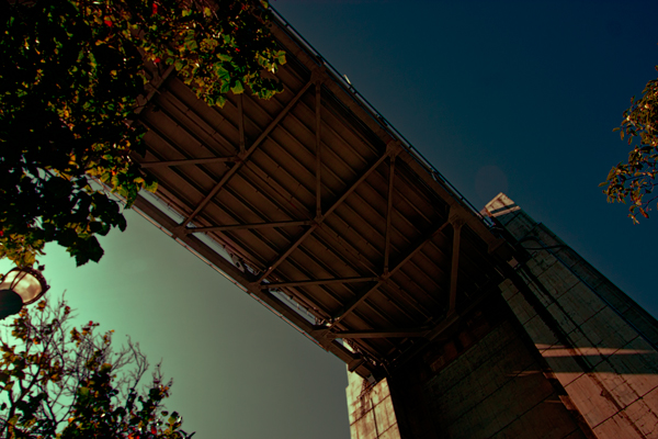 IMG_7767-moody-bridge-600