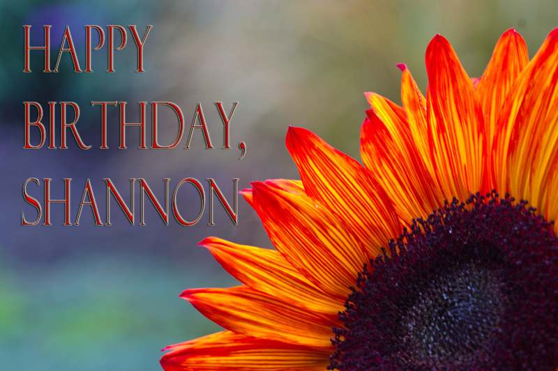 Happy Birthday, Shannon