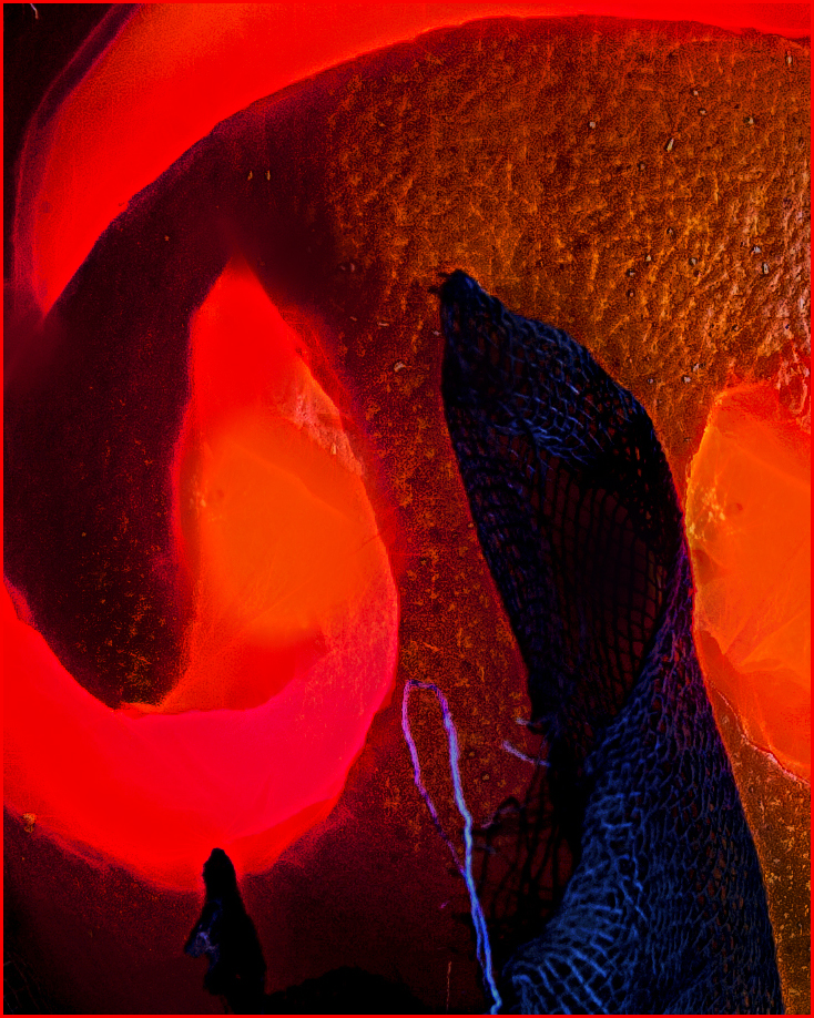 abstract #2