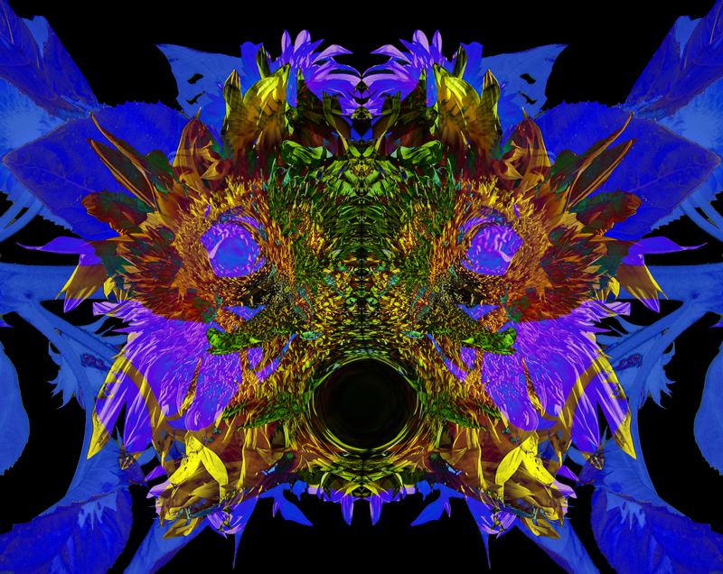 277_7777sunflower-L-geometric-800