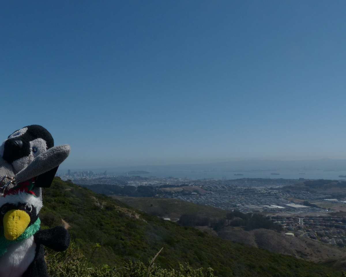 P1160504-L&F-on-San-Bruno-Mtn-1-1200