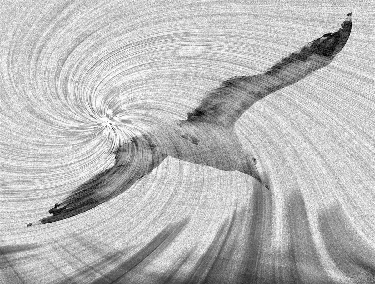 IMG_9659 maelstrom W&B 1200