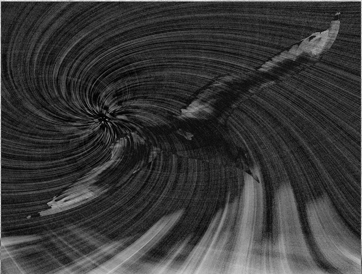 IMG_9659-maelstrom-B&W-1200