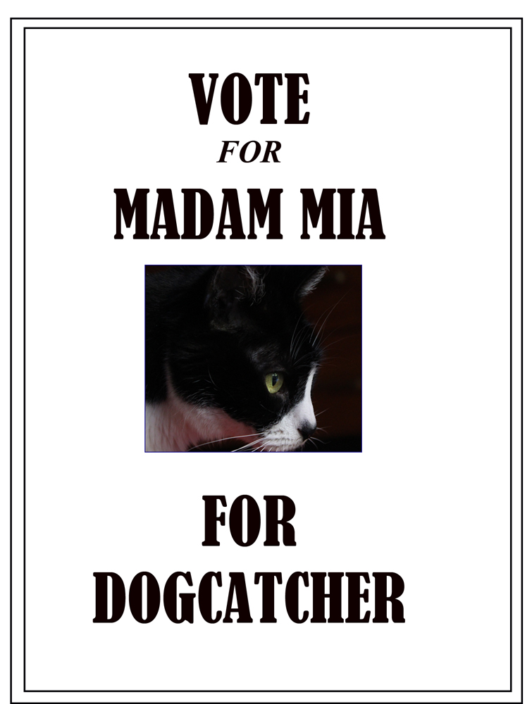 Vote-for-Mia-1000