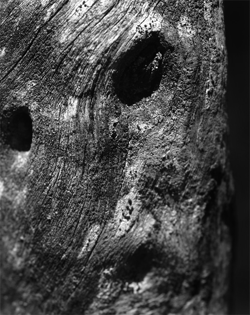 Faces of Rock City  Madrone 2