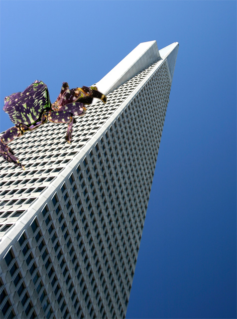 crabby transamerica bldg
