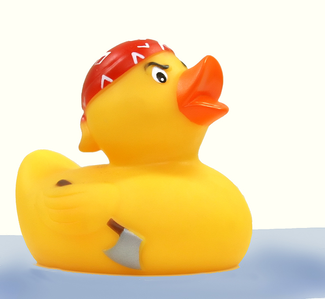 Annoyed ducky