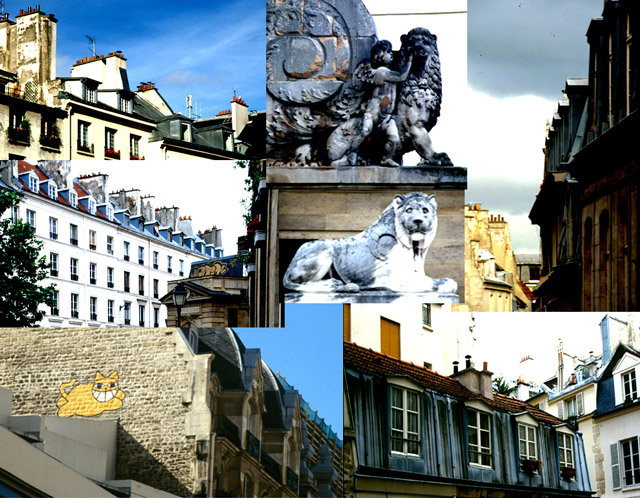 cats-&-pots-of-Paris.jpg
