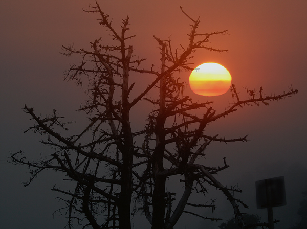 Foggy sunset
