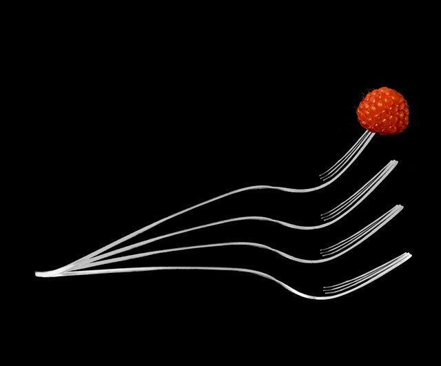 Fork with Raspberry