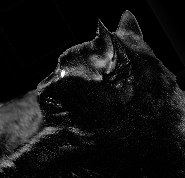 VooDoo