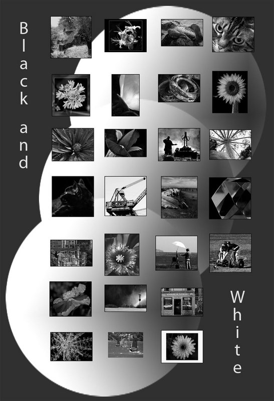 Black-and-white-composite-