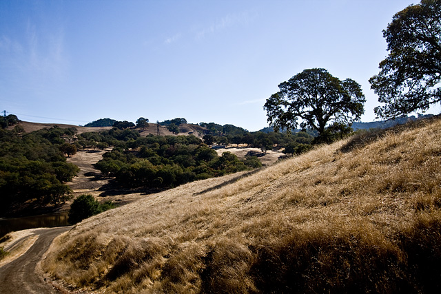 Safari West terrain